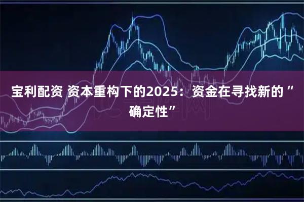 宝利配资 资本重构下的2025：资金在寻找新的“确定性”