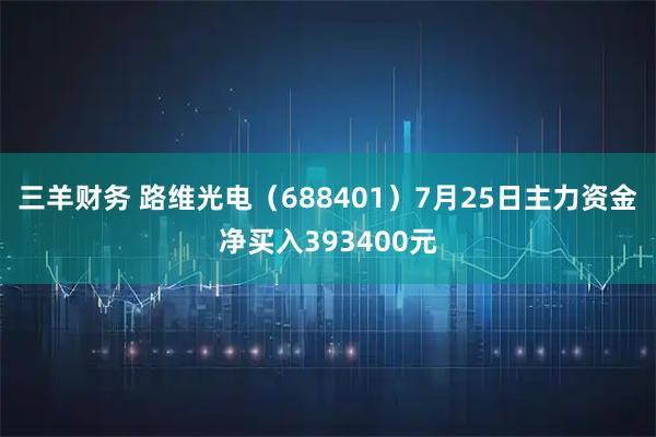 三羊财务 路维光电(688401)7月25日主力资金净买入393400元