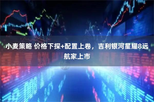 小麦策略 价格下探+配置上卷，吉利银河星耀8远航家上市